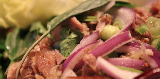DuckLarb.png